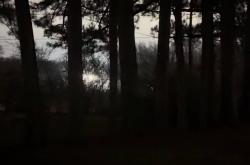 世界杯买球网站 -马斯克xAI发电厂噪音堪比喷气式飞机，遭居民集体抗议