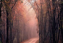 FIFA买球网站 -三六零(líng)申请障(zhàng)碍物(wù)响应方法(fǎ)专利，实现对障(zhàng)碍物(wù)的精准响应