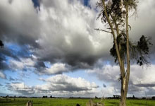 世界杯怎么买 -小鹏取得障碍物属性确定方法专利